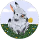 Merdol Cepur profil fotoğrafı