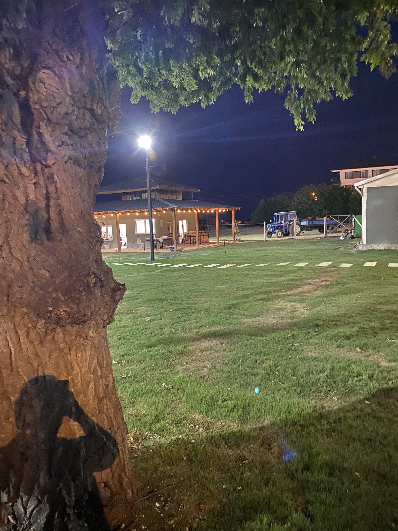 Meşe Bahçesi Düğün Salonu — Gerze, Sinop kır düğünü mekanı görsel 7