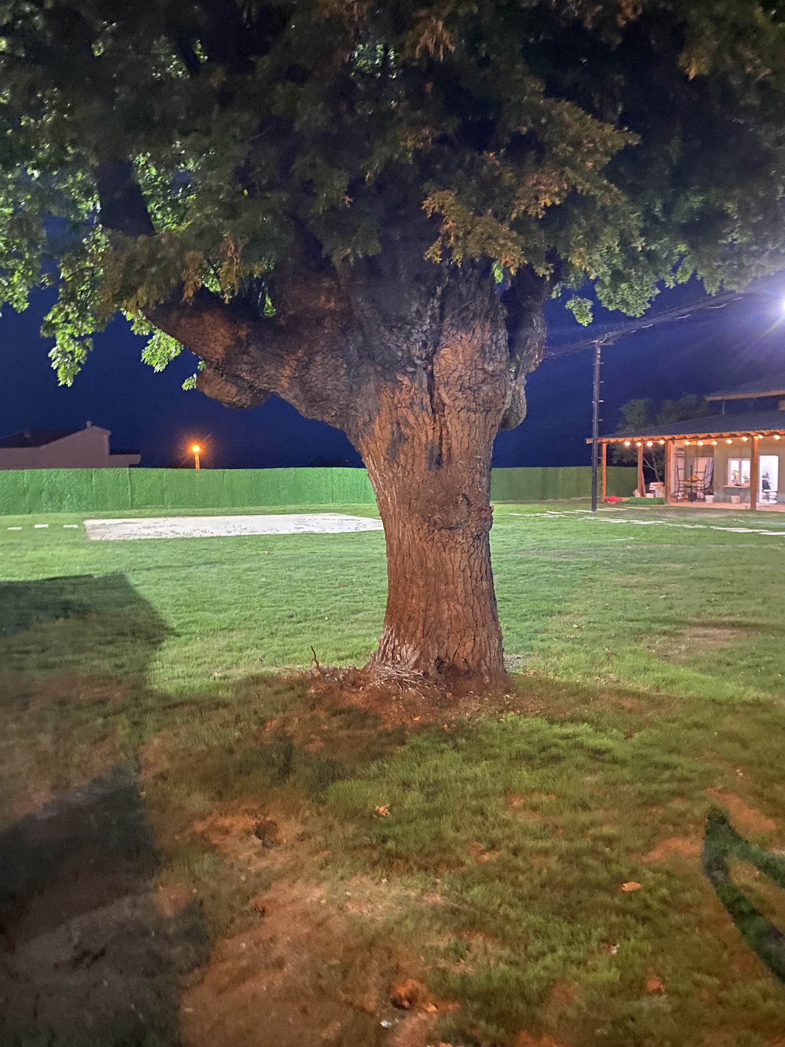 Meşe Bahçesi Düğün Salonu — Gerze, Sinop kır düğünü mekanı görsel 8