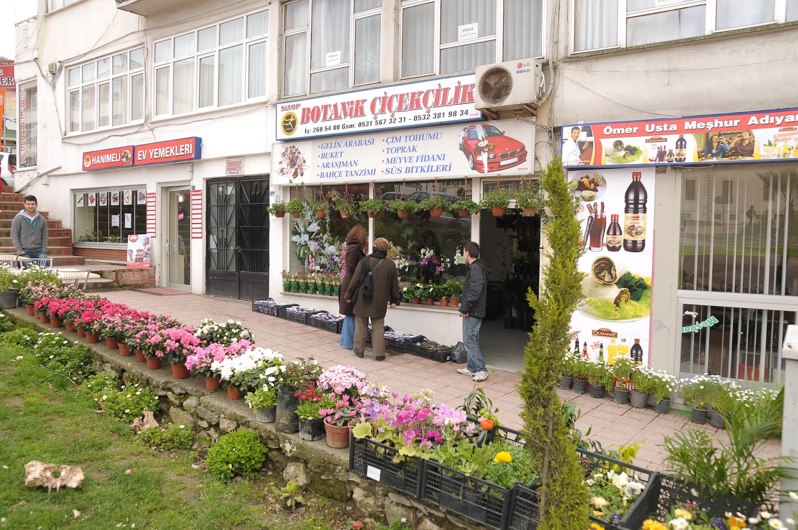 Sinop Botanik Çiçekçilik kır düğünü mekanı — Merkez