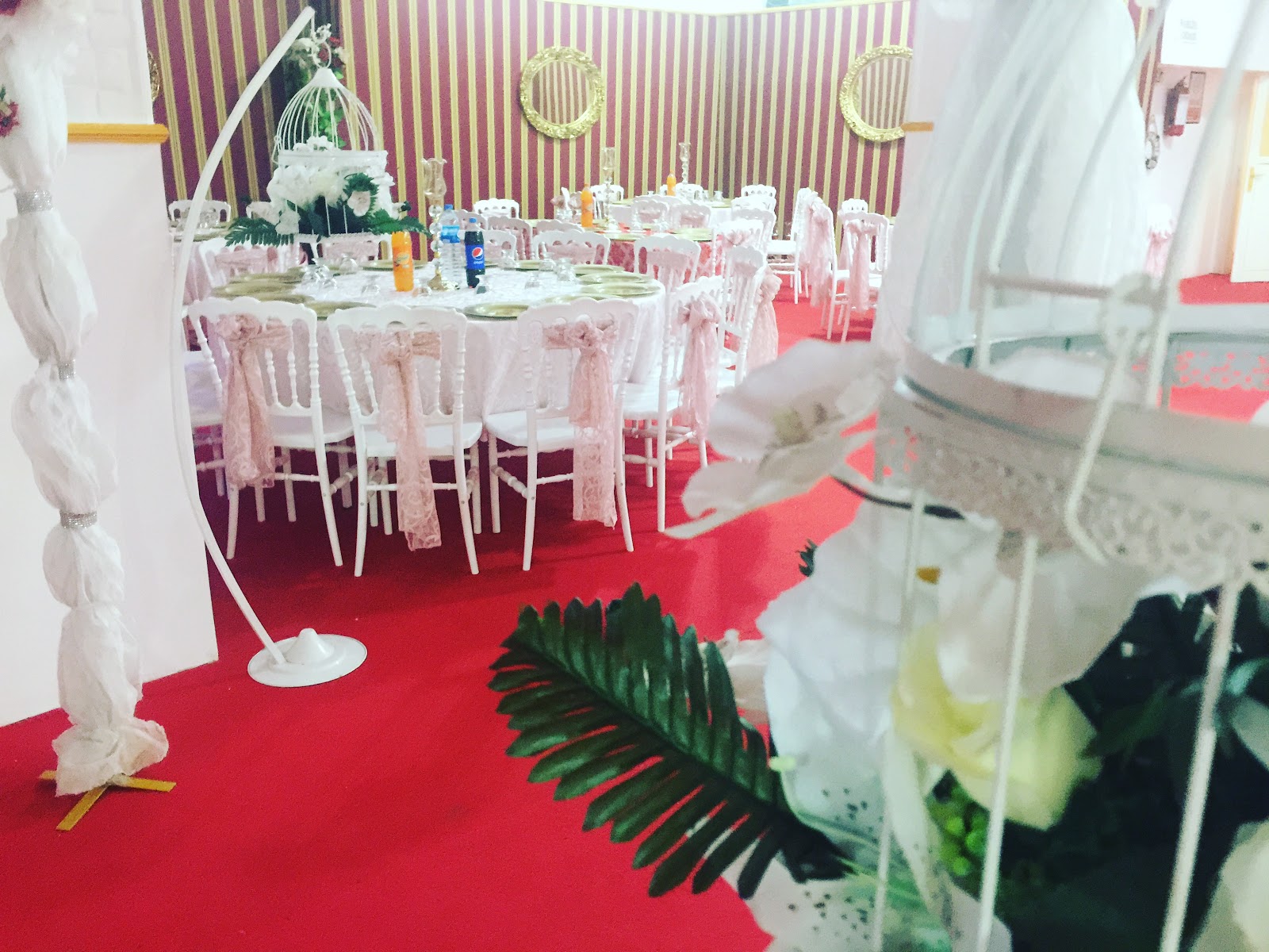 Sinop Düğün Salonları, Düğün, Nişan, Kına, Sünnet, Konser, Etkinlik, Eğlence, Sanatcı