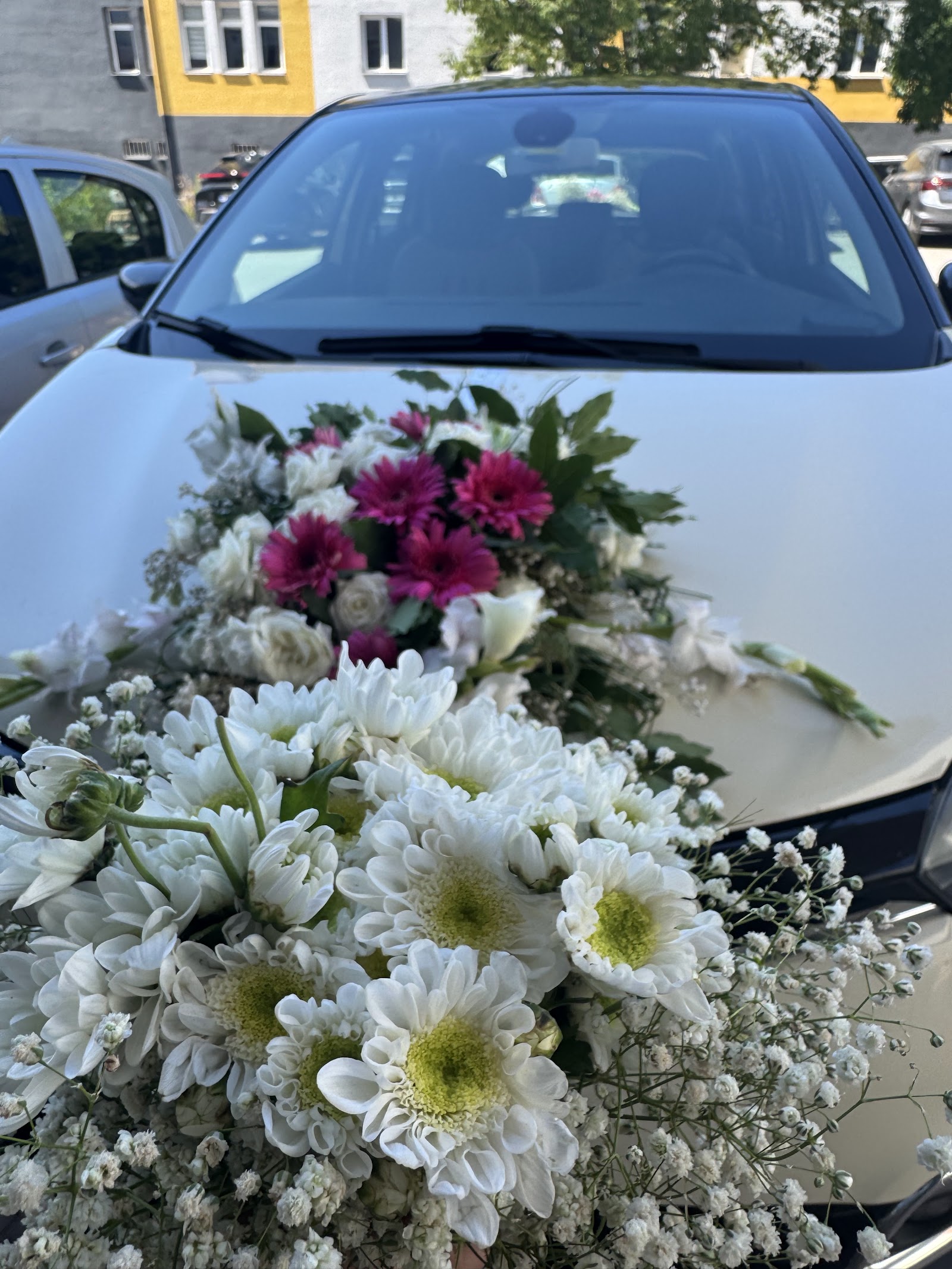 Sinop Elits Flowers